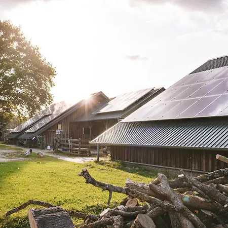 Tente de luxe Domo Camp - Nature Glamping Hof Viehbrook