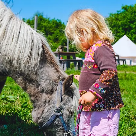 Domo Camp - Nature Glamping Hof Viehbrook *