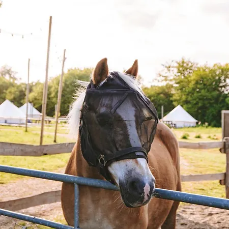 Domo Camp - Nature Glamping Hof Viehbrook Tente de luxe Rendswuhren